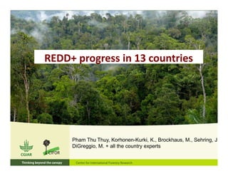REDD+ progress in 13 countries
Pham Thu Thuy, Korhonen-Kurki, K., Brockhaus, M., Sehring, J.
DiGreggio, M. + all the country experts
 