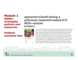Module 1
REDD+
strategies,
policies and
measures
Political
economy lens
 