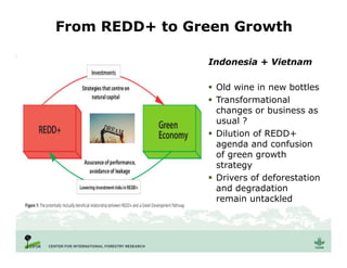 From REDD+ to Green Growth
Indonesia + Vietnam
 Old wine in new bottles
 Transformational
changes or business as
usual ?
 Dilution of REDD+
agenda and confusion
of green growth
strategy
 Drivers of deforestation
and degradation
remain untackled
 