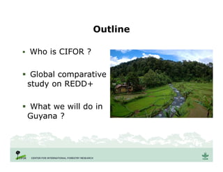 Outline
 Who is CIFOR ?
 Global comparative
study on REDD+
 What we will do in
Guyana ?
 