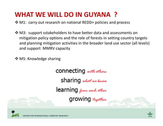 WHAT WE WILL DO IN GUYANA ?
 M1: carry out research on national REDD+ policies and process
 M3: support sstakeholders to have better data and assessments on
mitigation policy options and the role of forests in setting country targets
and planning mitigation activities in the broader land use sector (all levels)
and support MMRV capacity
 M5: Knowledge sharing
 