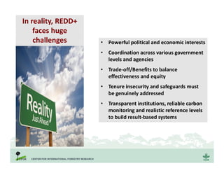 In reality, REDD+
faces huge
challenges • Powerful political and economic interests
• Coordination across various government
levels and agencies
• Trade-off/Benefits to balance
effectiveness and equity
• Tenure insecurity and safeguards must
be genuinely addressed
• Transparent institutions, reliable carbon
monitoring and realistic reference levels
to build result-based systems
 
