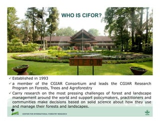 WHAT IS CIFOR?
 Established in 1993
 a member of the CGIAR Consortium and leads the CGIAR Research
Program on Forests, T...