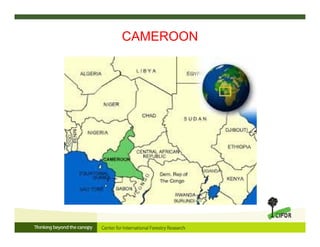 CAMEROON
 