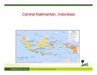 Central Kalimantan, Indonesia
 