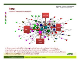 CIFOR
Min. 
Envt
FAO
IIAP
Peru
Scientific Information Network
A dense network with different actors (national research institutes, international 
organisations, governments, national and international NGOs) are sources of REDD+ 
information. The most important players constitute one national research institute, Ministry 
of Environment, FAO (tied with MINAM) and CIFOR. 
Menton, M. et al. 2013. Policy networks 
in Peru. Unpublished project report. 
 