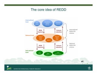 The core idea of REDD
 