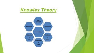 Knowles Theory
 