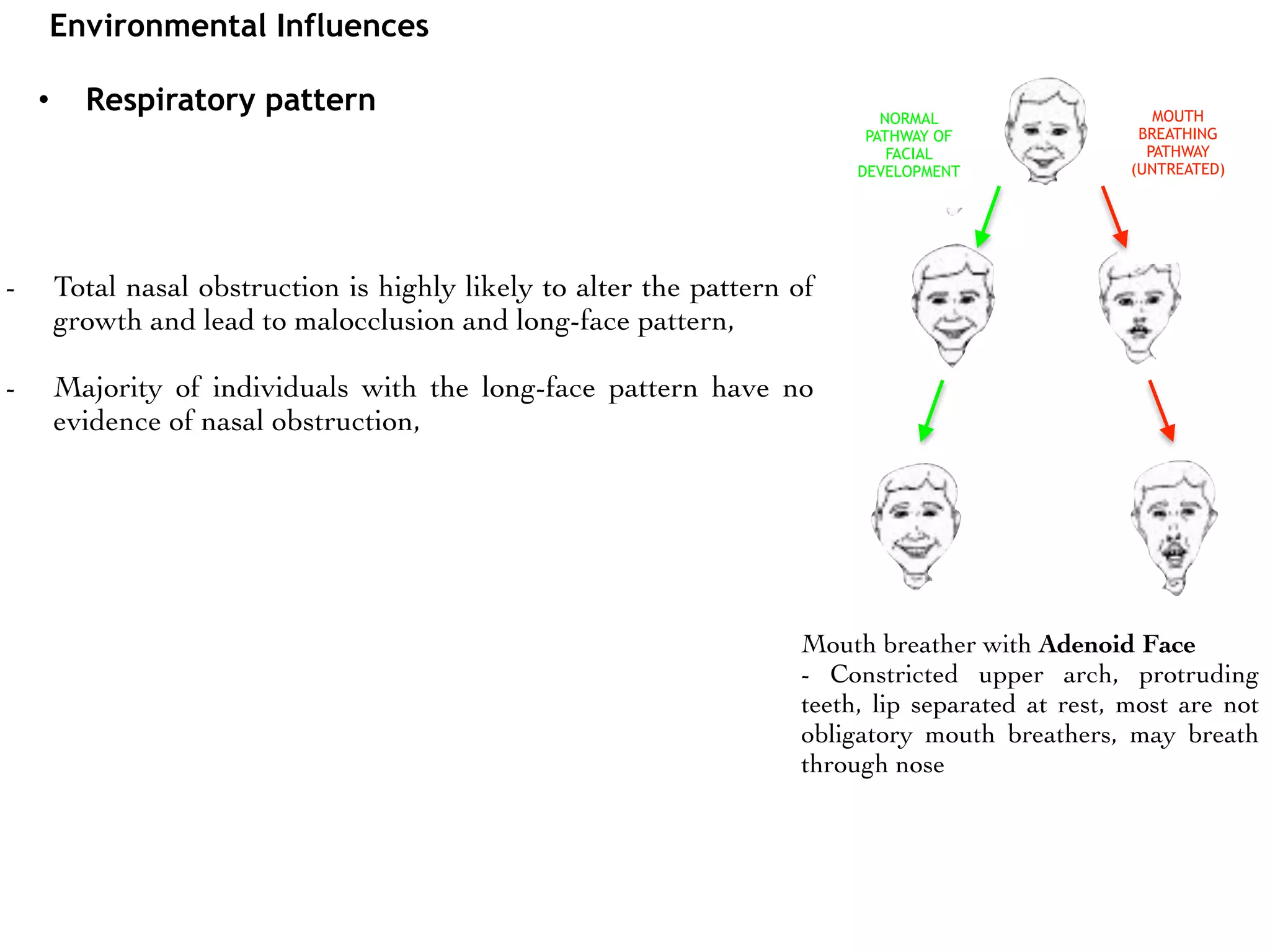 Known causes of Malocclusion | PDF