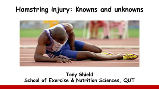 Hamstring injury: Knowns and unknowns
Tony Shield
School of Exercise & Nutrition Sciences, QUT
 