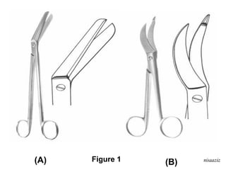 Know The Instruments | PPT