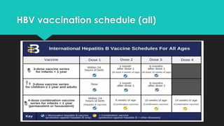 HBV vaccination schedule (all)
 