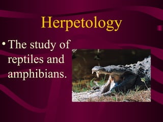 Herpetology The study of reptiles and amphibians. 
