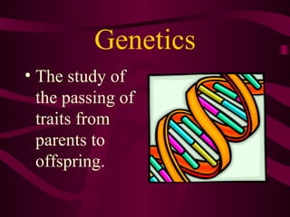 Genetics The study of the passing of traits from parents to offspring. 