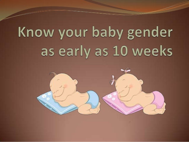 When Does The Baby Start To Develop Gender?
