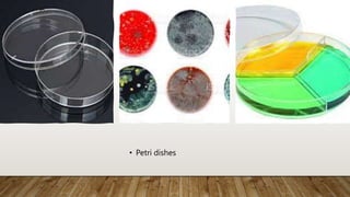 • Petri dishes
 