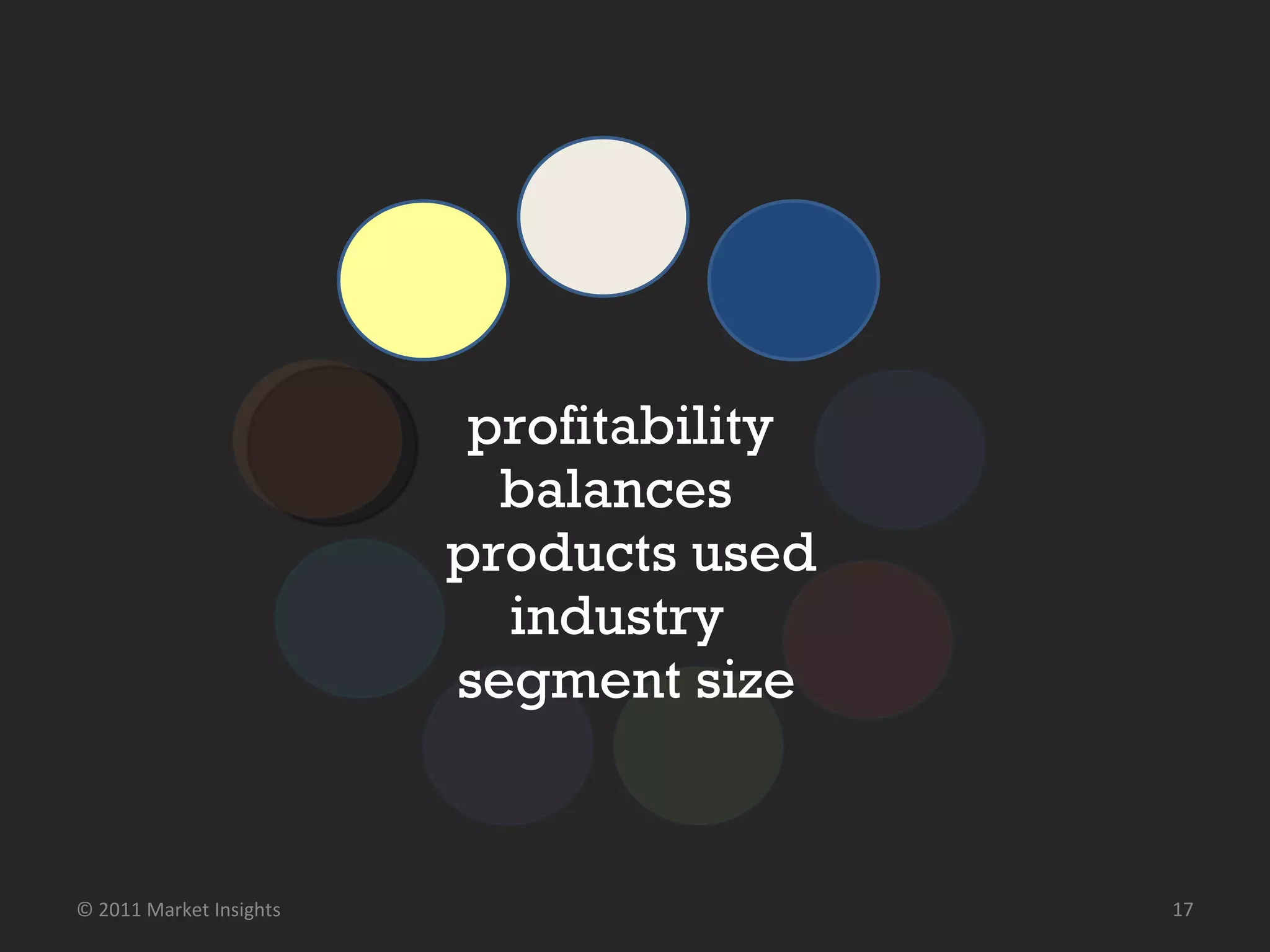 profitability balances products used industry segment size © 2011 Market Insights  