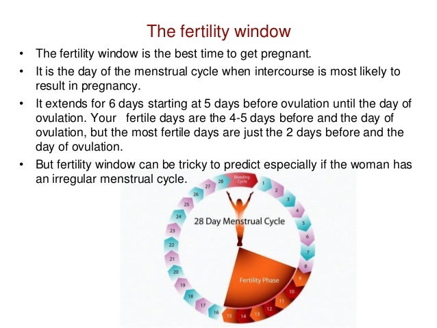 When Is A Woman Most Fertile To Get Pregnant 32