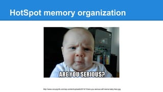 HotSpot memory organization
http://www.occupycfs.com/wp-content/uploads/2014/10/are-you-serious-wtf-meme-baby-face.jpg
 