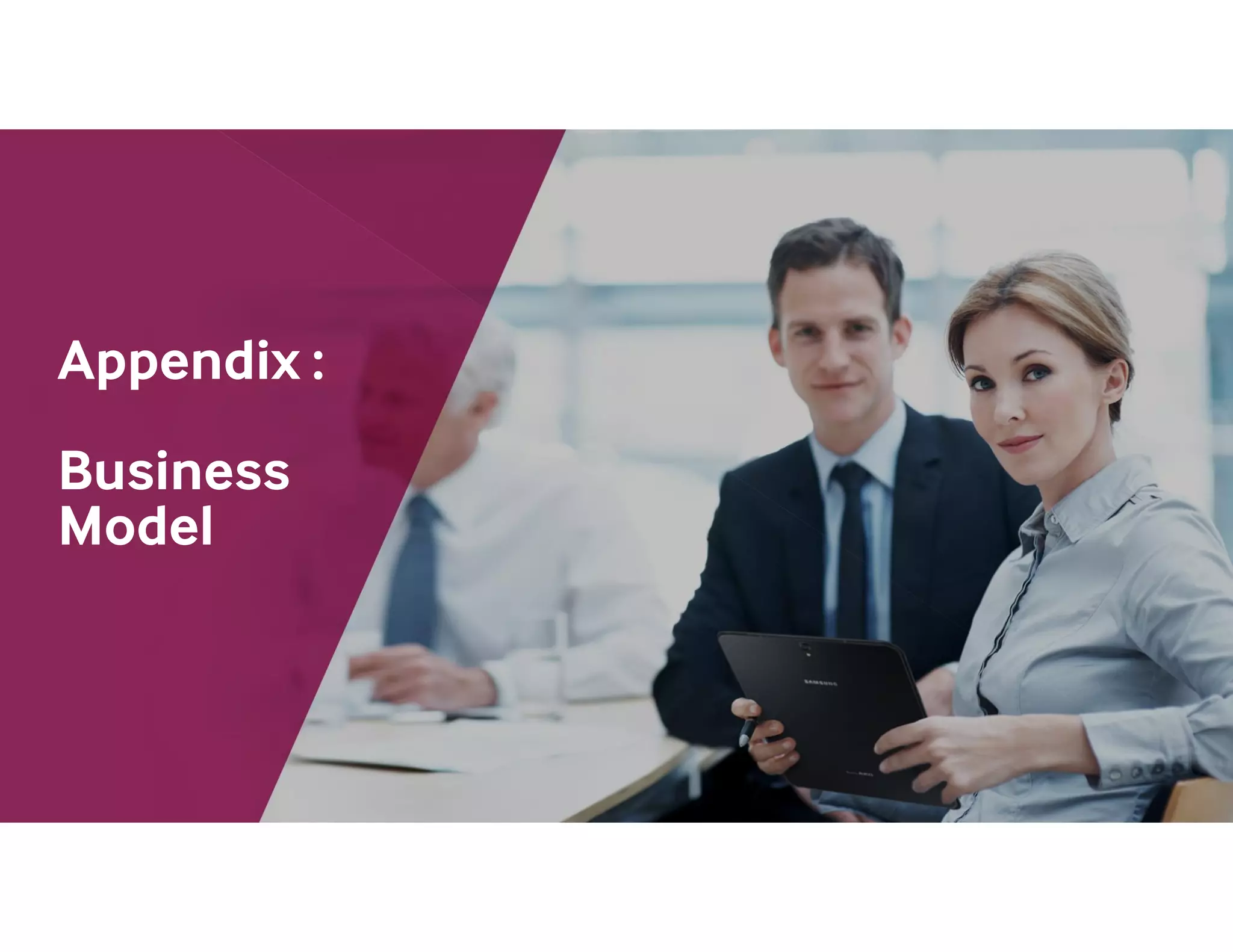 Appendix :
Business
Model
 