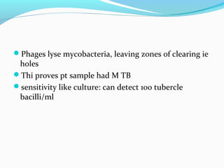 Phages lyse mycobacteria, leaving zones of clearing ie
holes
Thi proves pt sample had M TB
sensitivity like culture: can detect 100 tubercle
bacilli/ml
 