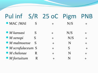 Pul inf S/R 25 oC Pigm PNB
MAC /MAI S + N/S +
M kansasi S + N/S +
M xenopi S + N/S +
M malmoense S + N +
M scrofulaceum S + S +
M chelonae R + N +
M fortuitum R + N +
 