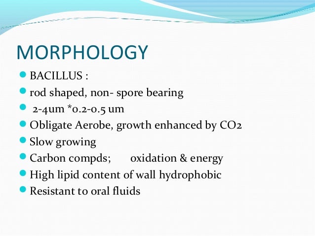 oral b problem app [Micro] tuberculosis mycobacterium