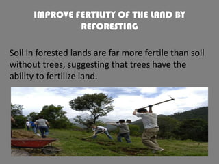 IMPROVE FERTILITY OF THE LAND BY
REFORESTING
Soil in forested lands are far more fertile than soil
without trees, suggesting that trees have the
ability to fertilize land.

 