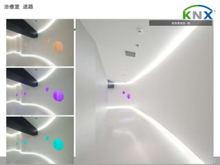 日本ＫＮＸ協会 KNXは、ホーム、ビルオートメーションの国際標準です Page No. 12
March 2017
治療室 迷路
某医療施設 様
 