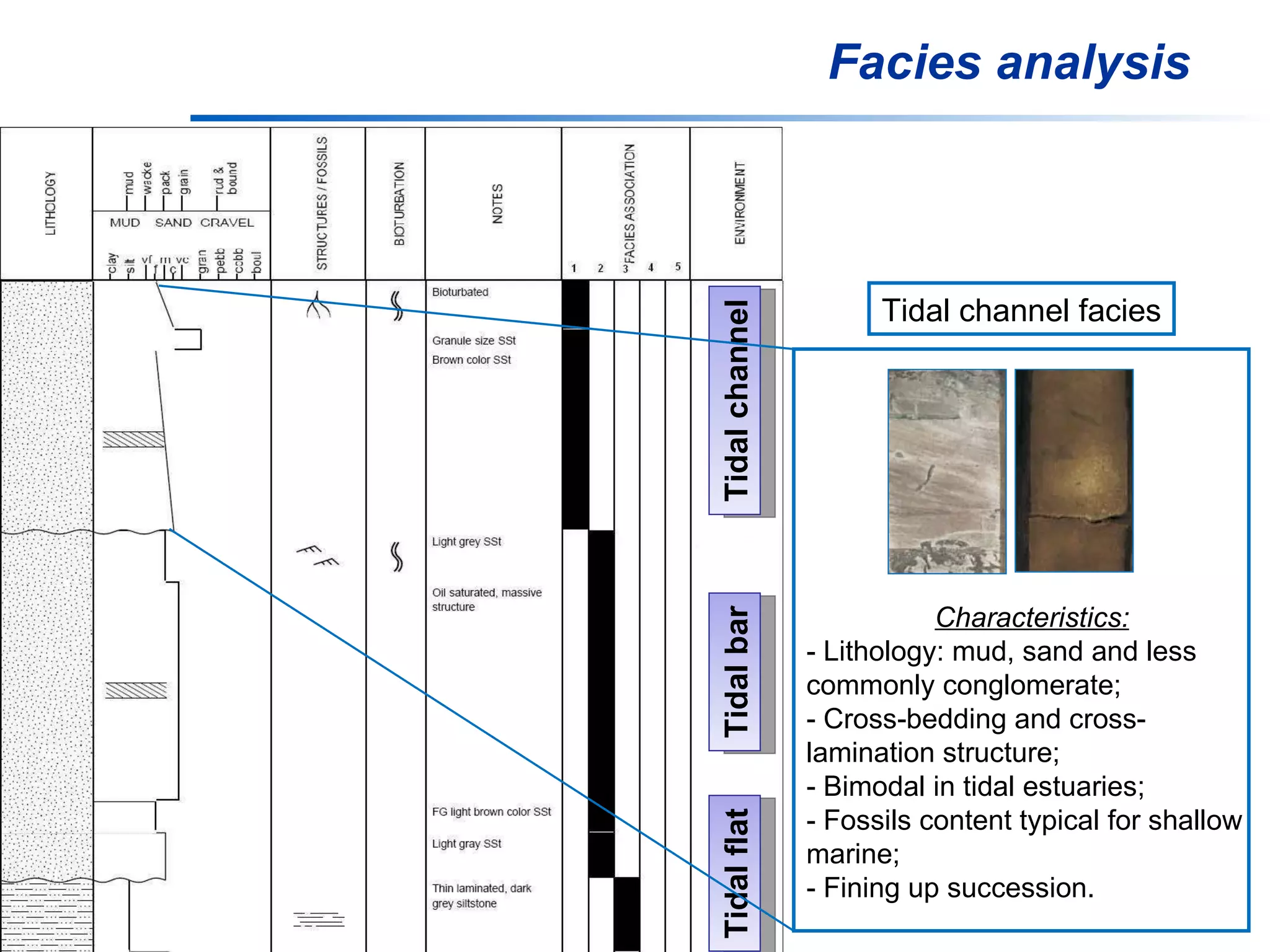 Facies analysis Tidal channel Tidal bar Tidal flat Characteristics: - Lithology: mud, sand and less commonly conglomerate; - Cross-bedding and cross-lamination structure; - Bimodal in tidal estuaries; - Fossils content typical for shallow marine; - Fining up succession. Tidal channel facies 