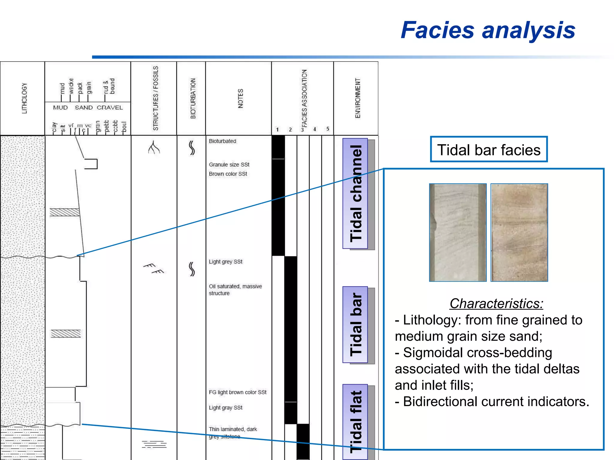 Facies analysis Tidal channel Tidal bar Tidal flat Tidal bar facies Characteristics: - Lithology: from fine grained to medium grain size sand; - Sigmoidal cross-bedding associated with the tidal deltas and inlet fills; - Bidirectional current indicators. 