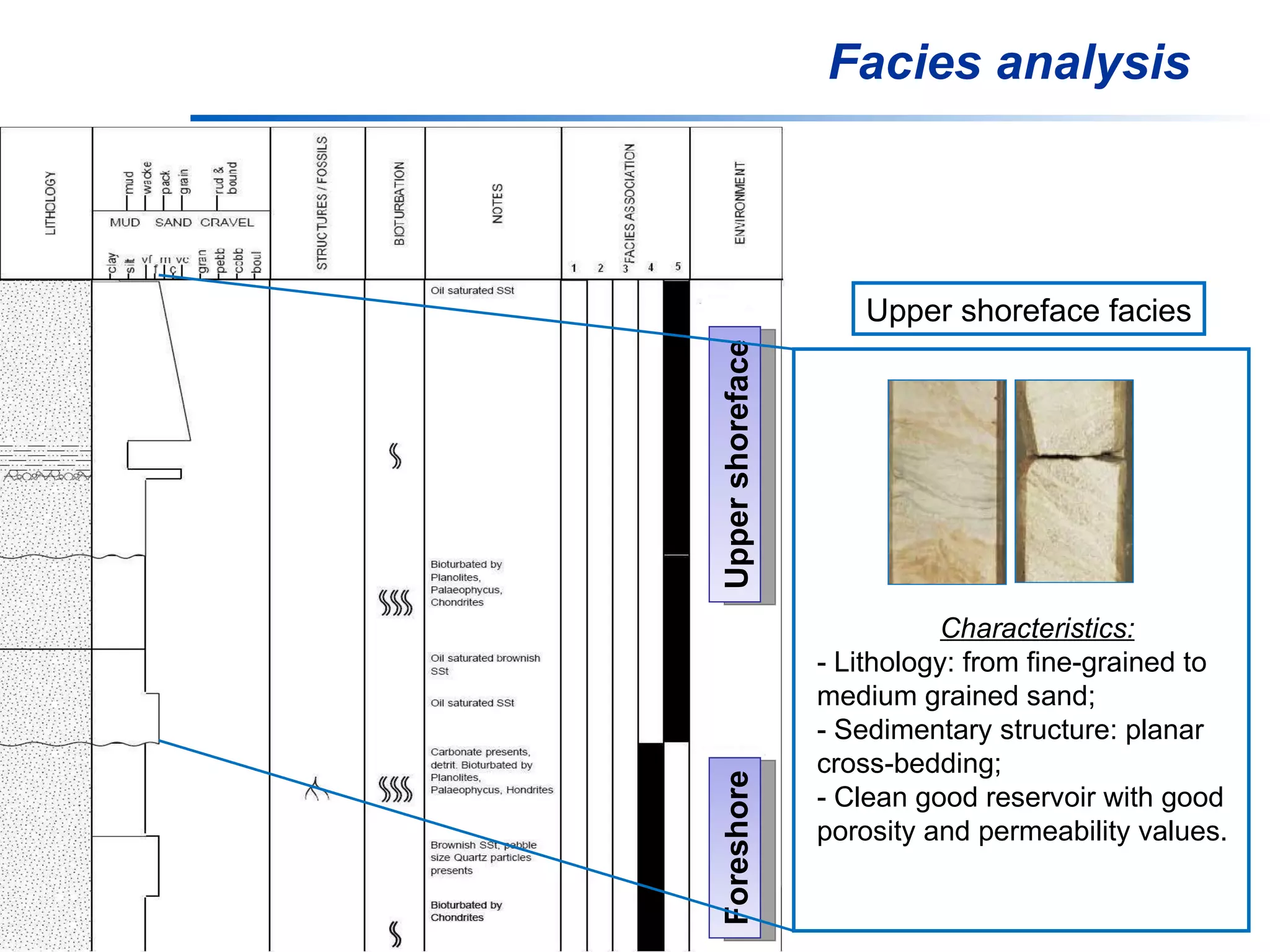Facies analysis Upper shoreface Foreshore Upper shoreface facies Characteristics: - Lithology: from fine-grained to medium grained sand; - Sedimentary structure: planar cross-bedding; - Clean good reservoir with good porosity and permeability values. 
