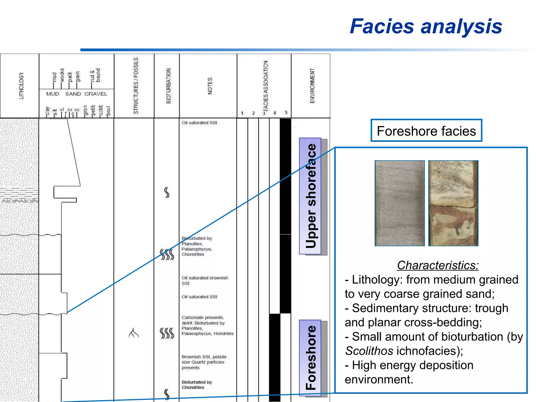 Facies analysis Upper shoreface Foreshore Foreshore facies Characteristics: - Lithology: from medium grained to very coarse grained sand; - Sedimentary structure: trough and planar cross-bedding; - Small amount of bioturbation (by  Scolithos  ichnofacies); - High energy deposition environment. 
