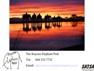 The Knysna Elephant Park Tel: 044 532 7732 Email: info@ knysnaelephantpark .co.za 