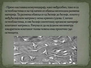 Koштана ћелија Никола Тадић