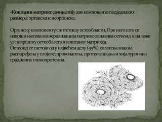 Koштана ћелија Никола Тадић