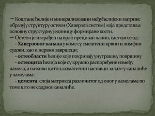 Koштана ћелија Никола Тадић