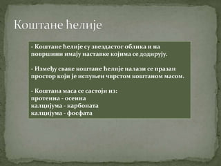 - Коштане ћелије су звездастог облика и на
површини имају наставке којима се додирују.
- Између сваке коштане ћелије налази се празан
простор који је испуњен чврстом коштаном масом.
- Коштана маса се састоји из:
протеина - осеина
калцијума - карбоната
калцијума - фосфата
 