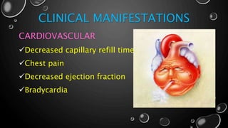 CLINICAL MANIFESTATIONS
CARDIOVASCULAR
Decreased capillary refill time.
Chest pain
Decreased ejection fraction
Bradycardia
 