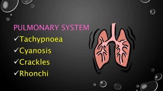 PULMONARY SYSTEM
Tachypnoea
Cyanosis
Crackles
Rhonchi
 