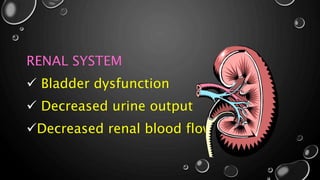 RENAL SYSTEM
 Bladder dysfunction
 Decreased urine output
Decreased renal blood flow
 