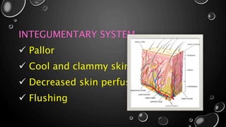 INTEGUMENTARY SYSTEM
 Pallor
 Cool and clammy skin
 Decreased skin perfusion
 Flushing
 