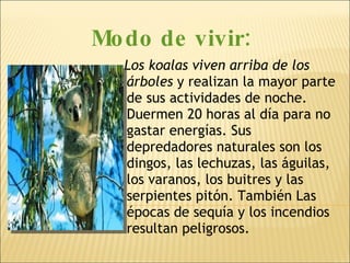 Modo de vivir: Los koalas viven arriba de los árboles  y realizan la mayor parte de sus actividades de noche. Duermen 20 horas al día para no gastar energías. Sus depredadores naturales son los dingos, las lechuzas, las águilas, los varanos, los buitres y las serpientes pitón. También Las épocas de sequía y los incendios resultan peligrosos. 
