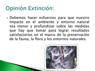 Debemos hacer esfuerzos para que nuestro impacto en el ambiente y entorno natural sea menor y profundizar sobre las medidas que hay que tomar para lograr resultados satisfactorios en el marco de la preservación de la fauna, la flora y los entornos naturales.Opinión Extinción: