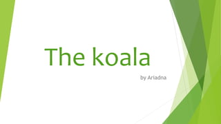 The koala
by Ariadna
 
