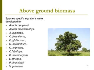 Long-term monitoring of rangelands: Impacts of fire, tree cutting and livestock grazing on carbon sequestration in West Africa