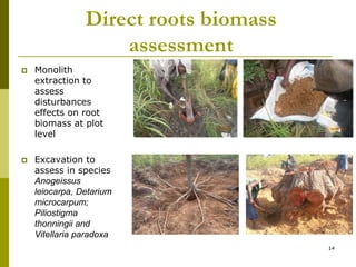 Long-term monitoring of rangelands: Impacts of fire, tree cutting and livestock grazing on carbon sequestration in West Africa
