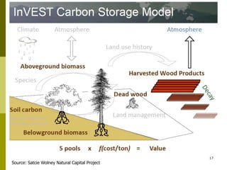 Long-term monitoring of rangelands: Impacts of fire, tree cutting and livestock grazing on carbon sequestration in West Africa