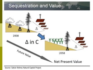 Long-term monitoring of rangelands: Impacts of fire, tree cutting and livestock grazing on carbon sequestration in West Africa