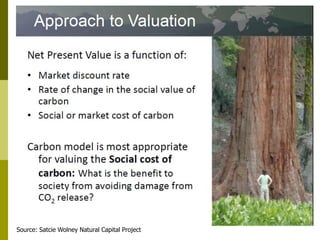 Long-term monitoring of rangelands: Impacts of fire, tree cutting and livestock grazing on carbon sequestration in West Africa